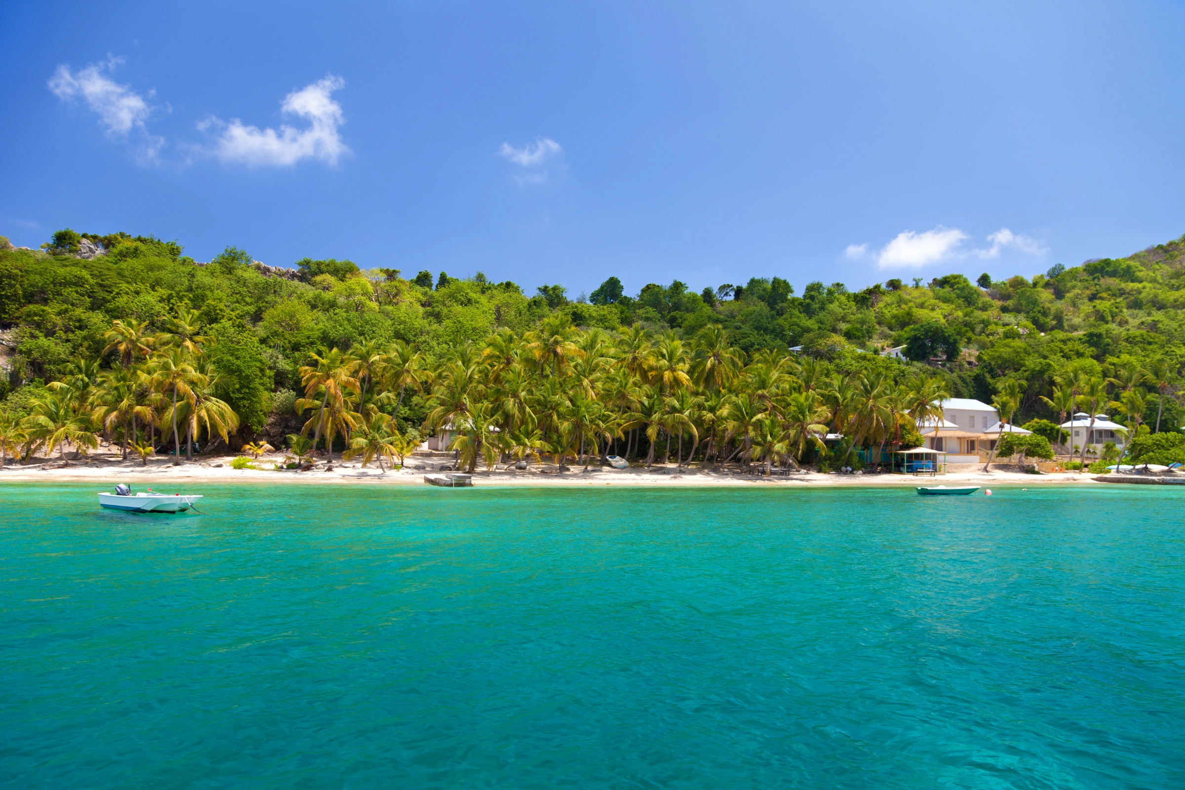 Cooper_Island[1].webp